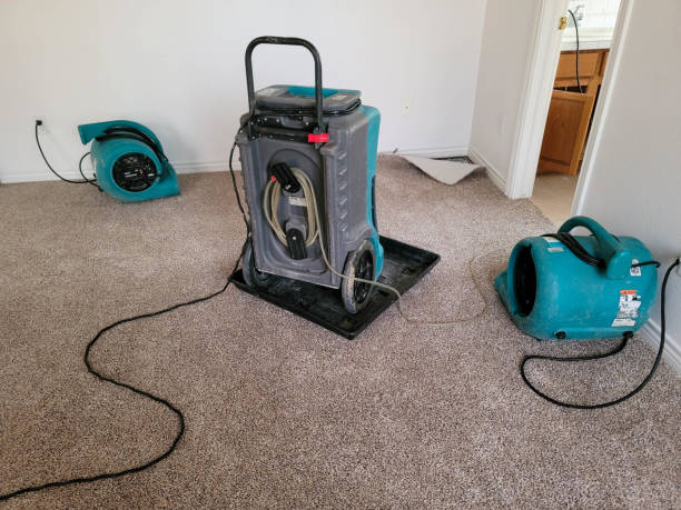 Best 24-hour water damage restoration  in Mccord, OK