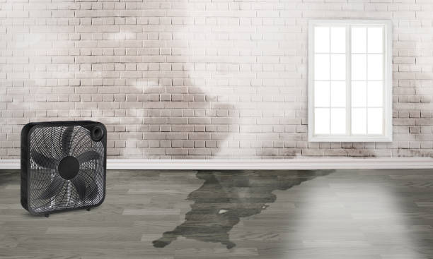 Best Water damage cleanup near me  in Mccord, OK
